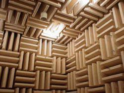 This Room Is So Quiet It Will Drive You Crazy!
