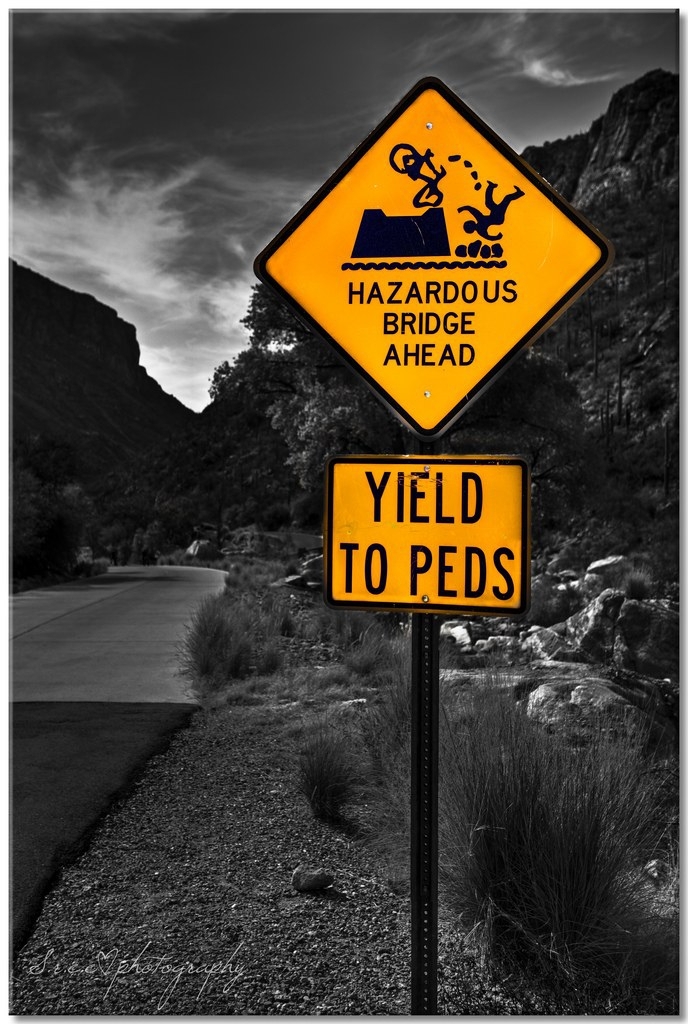 Hilarious Road Signs From Around The World!