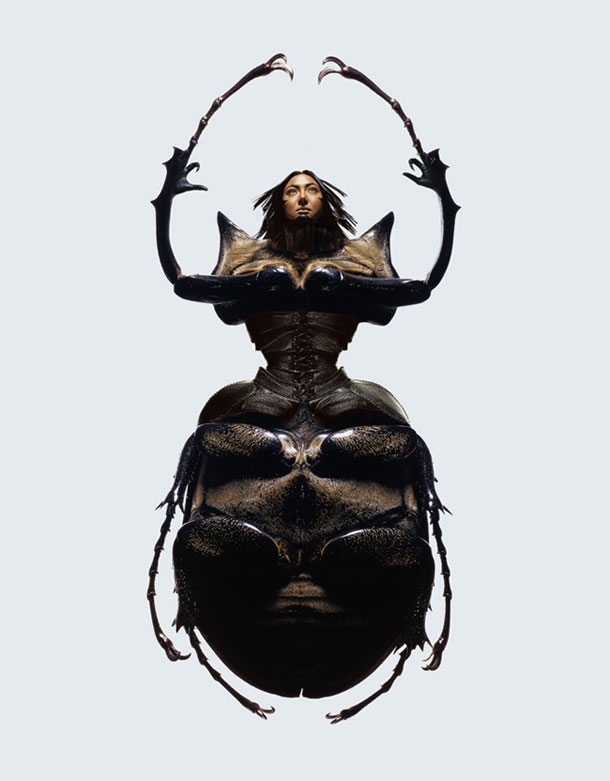 Stylish Models Twisted Into Creepy Crawly Insects