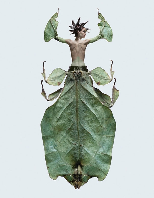 Stylish Models Twisted Into Creepy Crawly Insects