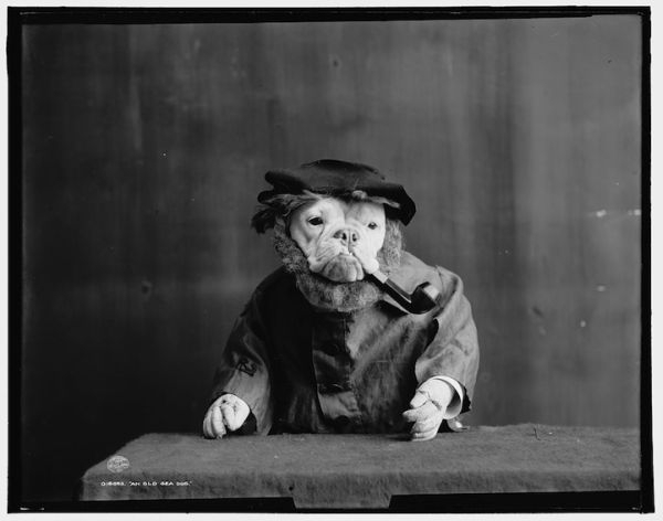 Peculiar Vintage Photos Of Dogs Dressed As Humans