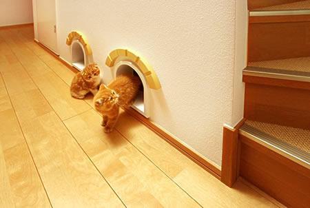 Cats Dream House