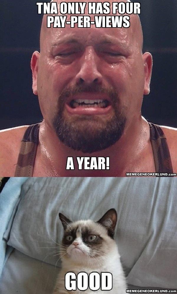 Funny Photos from the WWE