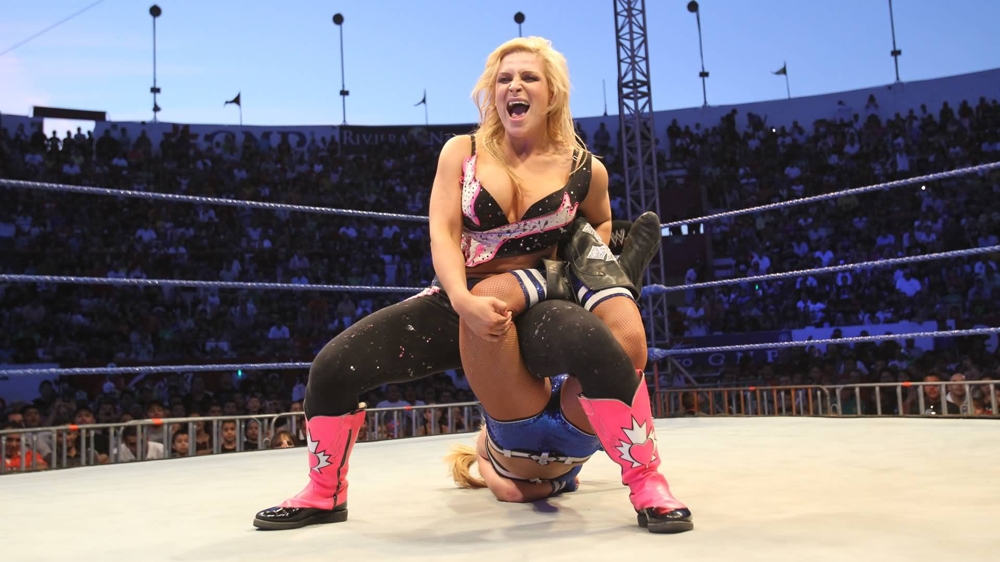 Check out The Sexy Women Wrestlers of the WWE 