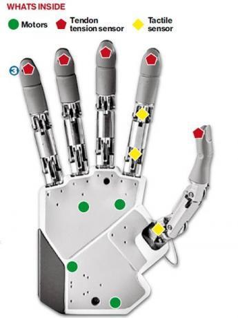 The Future Is Here! The First Bionic Hand That Can Feel