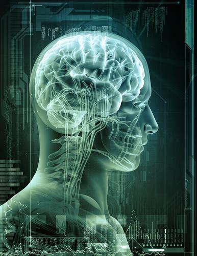 Obama to Map The Brain with 3 Billion Dollars from Federal Funds