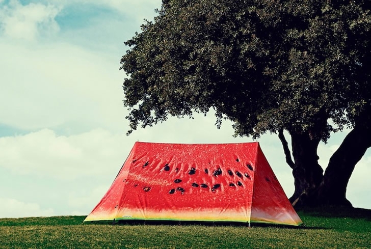 Awesome Tents In Disguise.