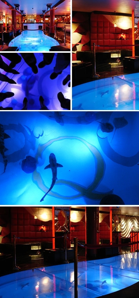 Coolest Aquariums EVER!