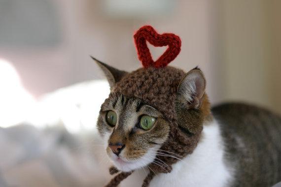 Fancy Cats, Awesome Hats 