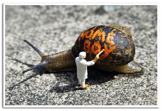 Snail Graffiti, No One Will Blame You 
