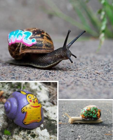 Snail Graffiti, No One Will Blame You 
