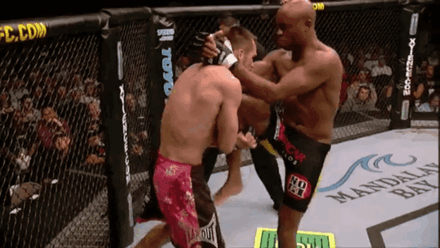 The Basic Moves you need to know to watch UFC