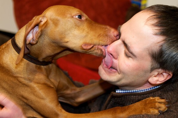 Dog Kissing Contest Held in Maine 