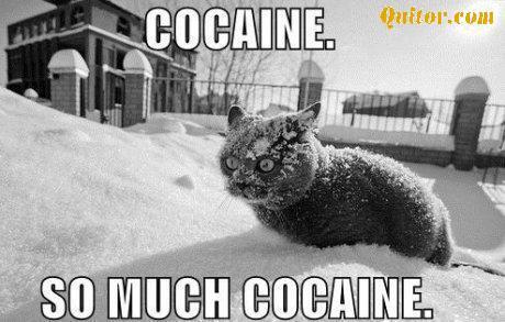 Snow Coke Anyone?