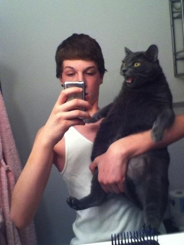 This cat who is tired of taking selfies with you.