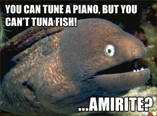 Funny All Pun Intended Photos 