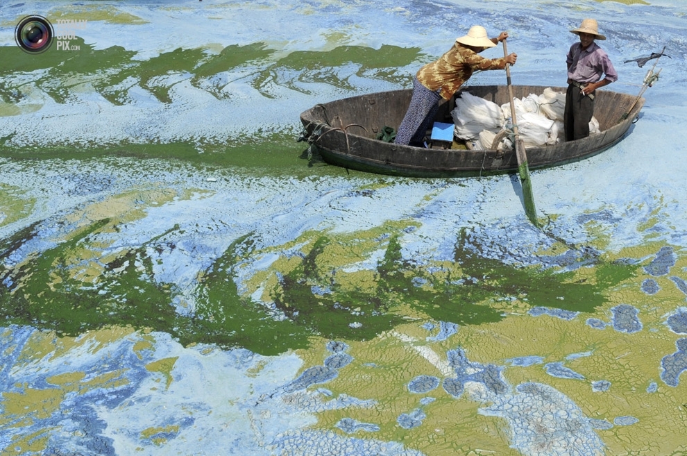Water Pollution In China 