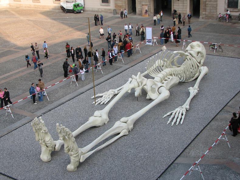 Giant's Skeleton Revealed!
