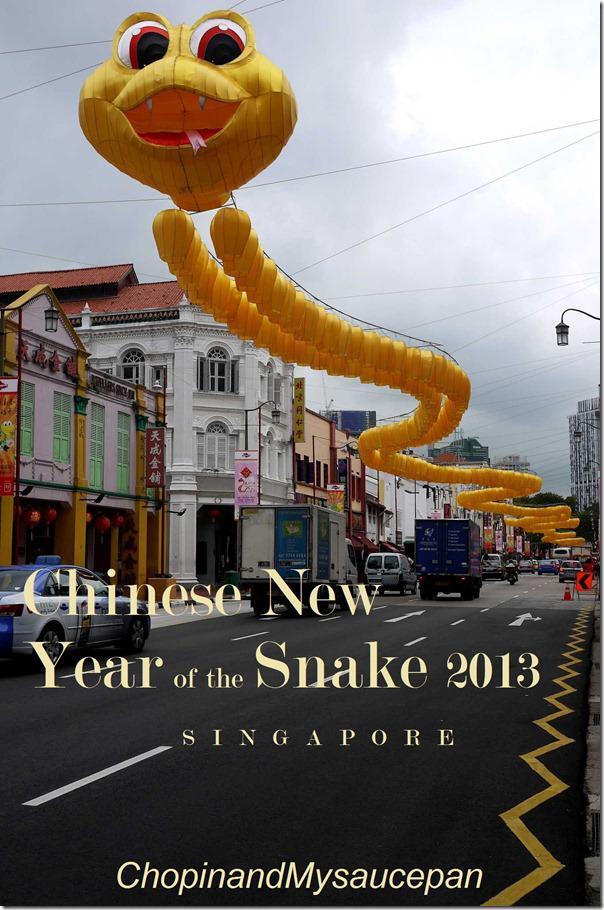 Snakey Chinese New Year Celebration
