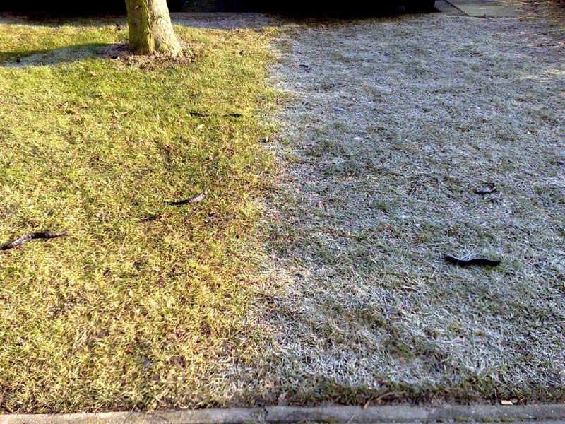 Examples of Frost Shadows