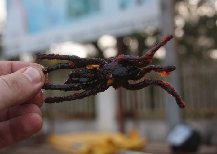 Cambodian Fried Spiders