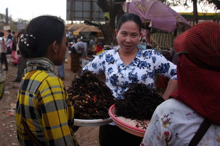 Cambodian Fried Spiders
