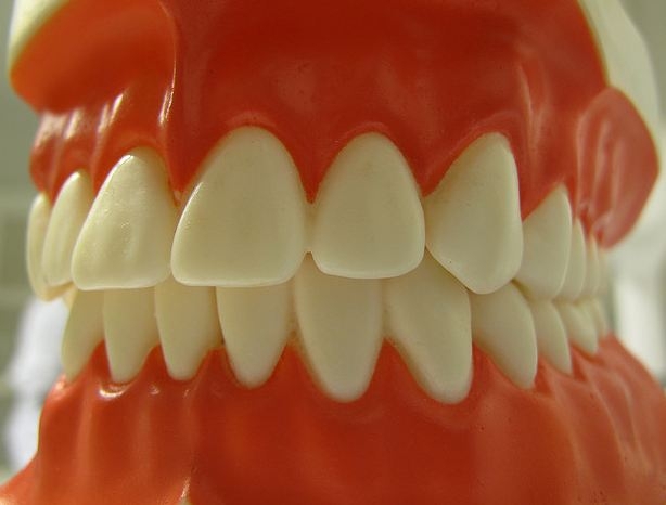 Woman Loses Tooth In Burglar’s Hand