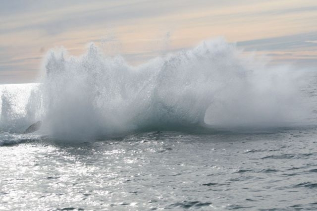 Local Fisherman Get More Attention Than They Bargained For