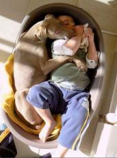 Dog is a Baby's Best Friend
