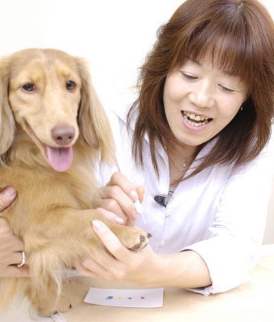 Manicure Your Dog! It's Fun!