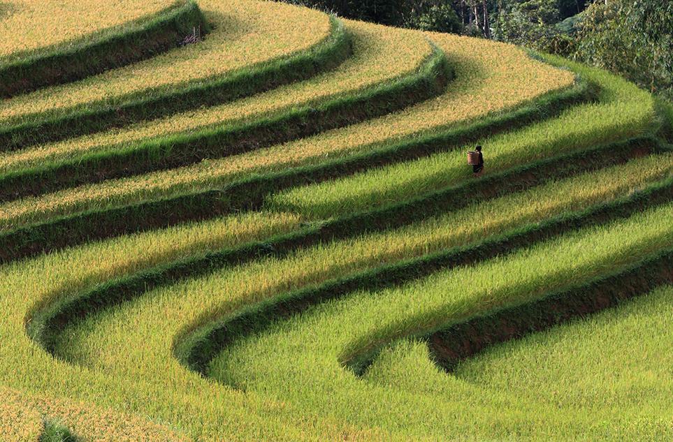 Best of Smithsonian Photocontest, Wow