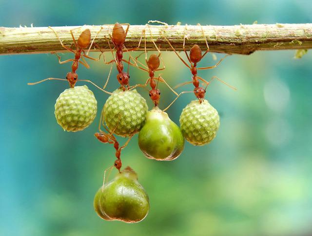 Best of Smithsonian Photocontest, Wow