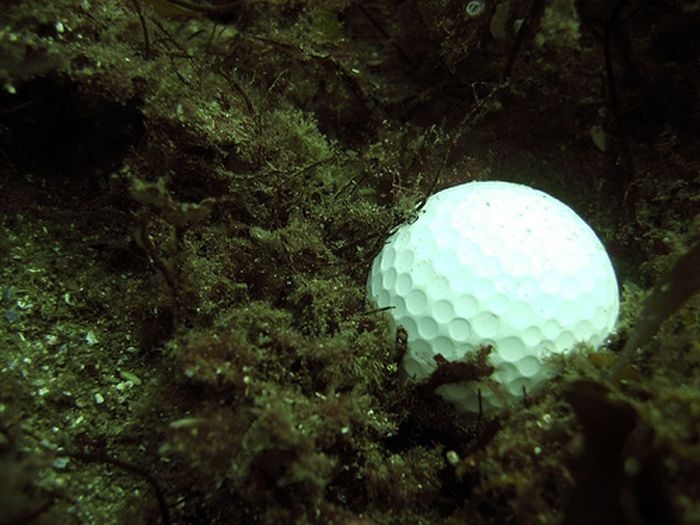 Professional Golf Ball Diver