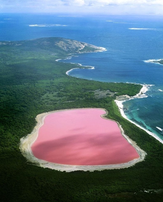 Pink Lake Hillier in Australia 