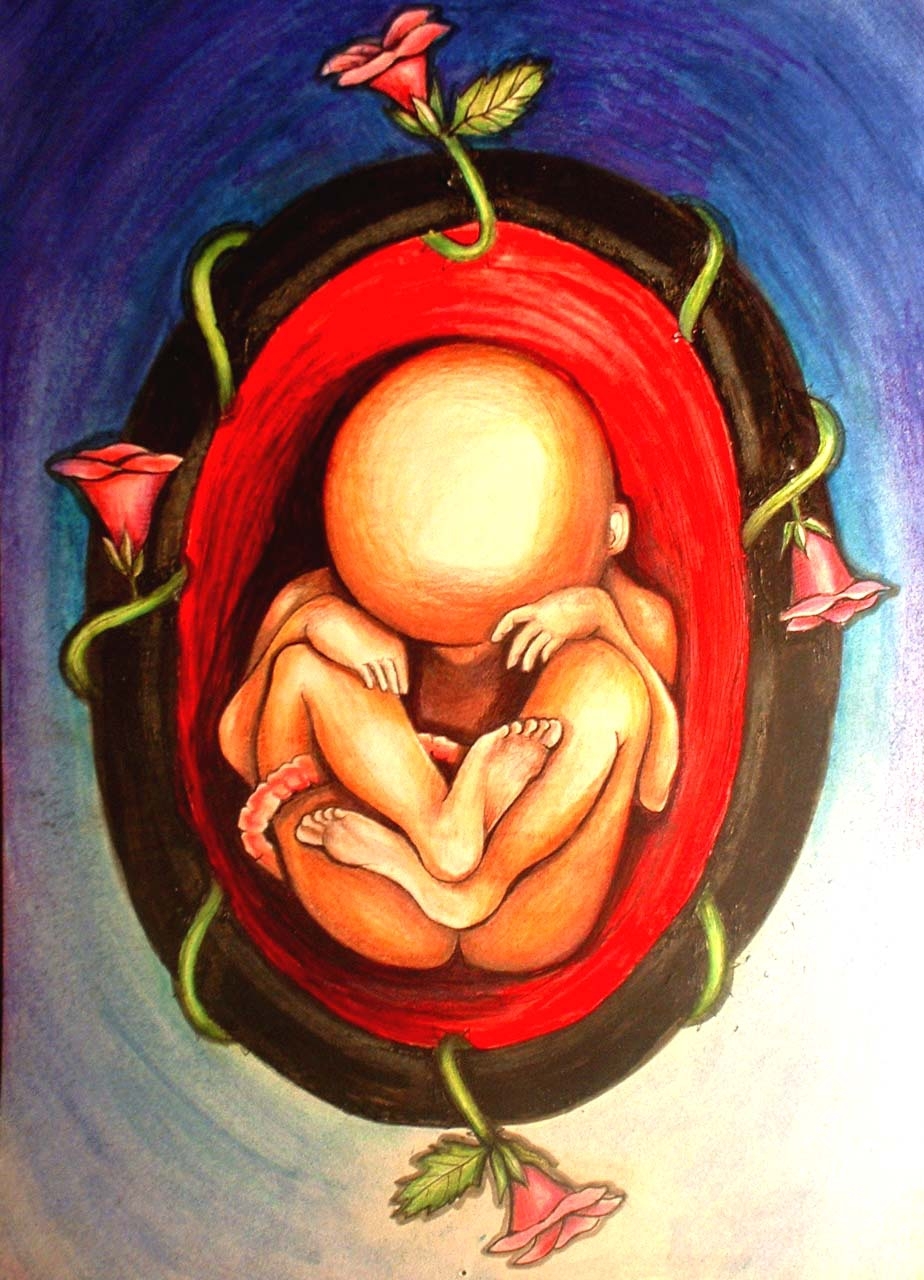 Interesting Fetus Art.