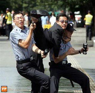 You Have a Right to Remain Silent, Funny Arrest Pics