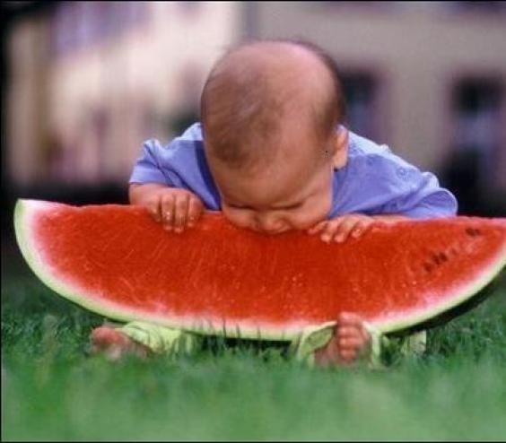 Watermelon Babies