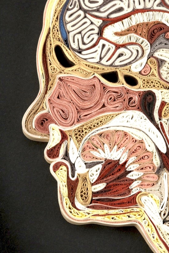 Unique Human Anatomy Art.