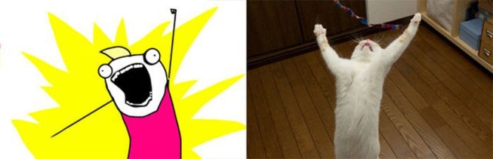 Cats As Rage Faces