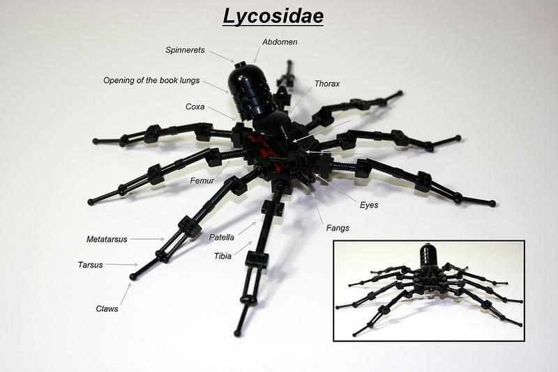 Creepy LEGO Insects Collection