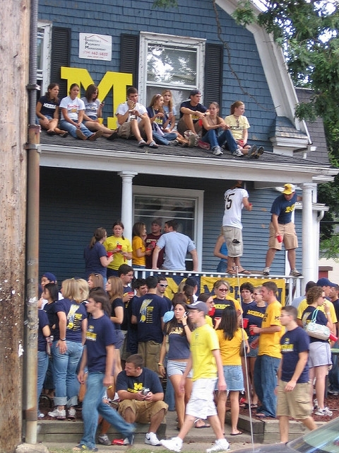 Are You A Michigan Wolverine? 