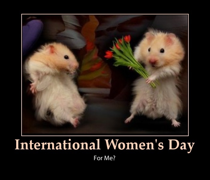 International Women's Day Funnies! 