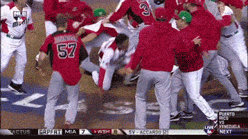 Big Brawl In The World Baseball Classic