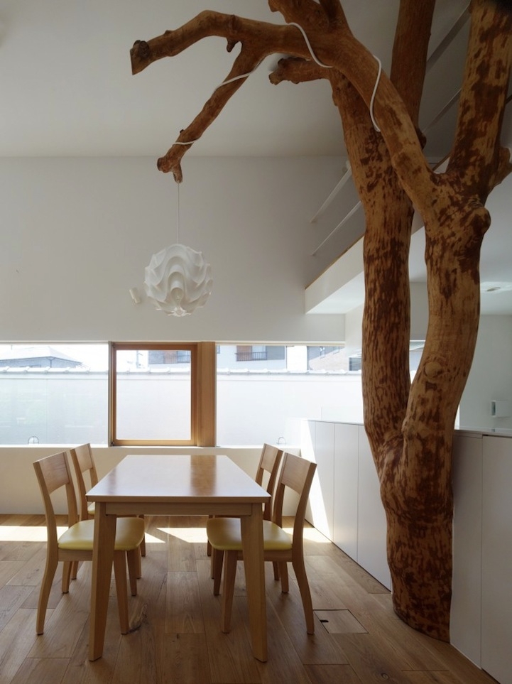 Beautiful Trees Fill a Modern Room with Childhood Memories