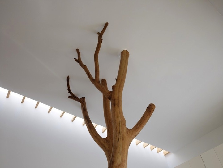 Beautiful Trees Fill a Modern Room with Childhood Memories