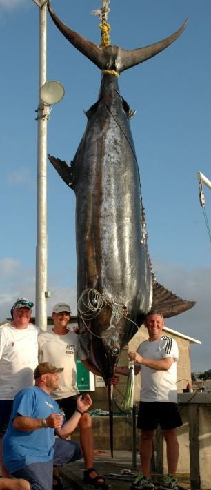 Fisherman Breaks Records with Dream Catch 