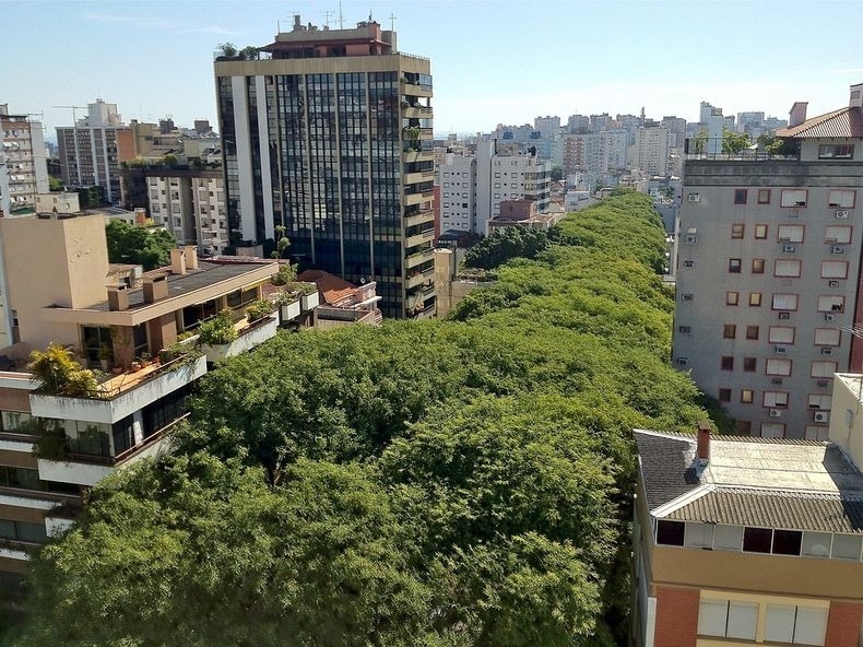 Rua Goncalo de Carvalho: Most Beautiful Street in the World