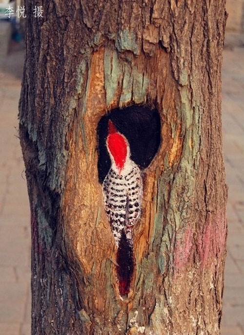 Painter Turns Tree Holes into Works of Art 