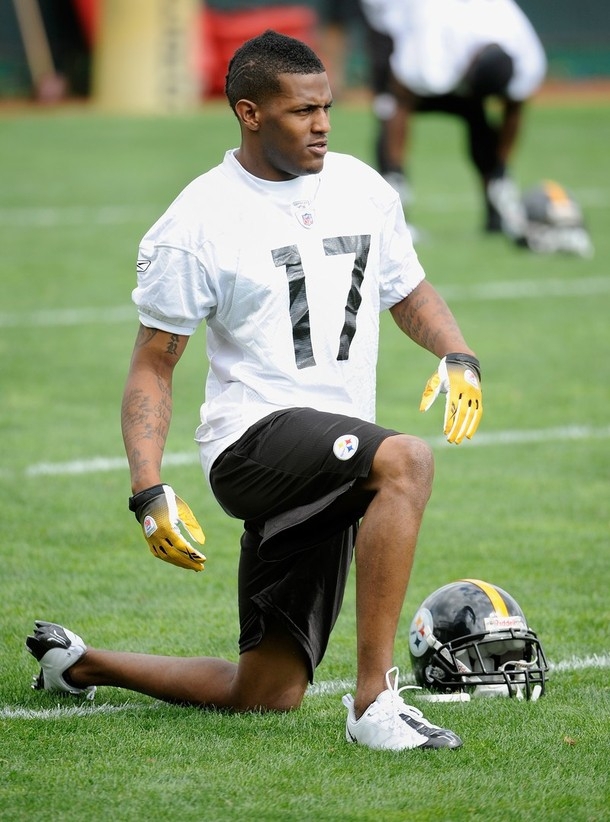 Miami Dolphins Sign WR Mike Wallace To A Big Contract