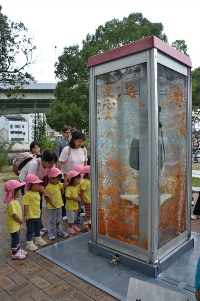A One-of-a-kind Public Phone Booth Aquarium